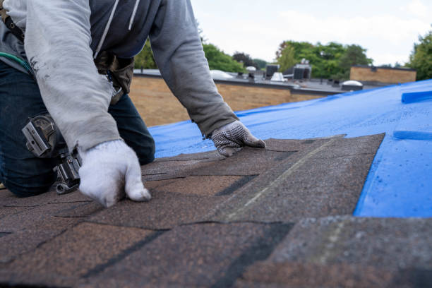 Professional Roofing Contractor in Osage, IA