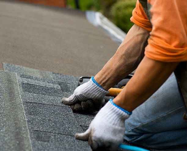 Best Storm Damage Roof Repair  in Osage, IA